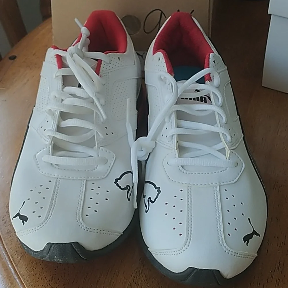 Puma - Picture 1 of 4